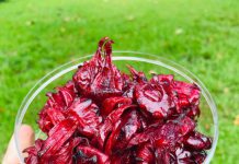 Mứt Atiso vừa đẹp mắt lại lạ miệng trong ngày Tết