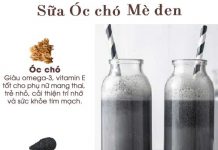 THỬ NGAY SỮA HẠT ÓC CHÓ – MÈ ĐEN NGAY TẠI NHÀ CÙNG MÁY LÀM SỮA HẠT DREAMER