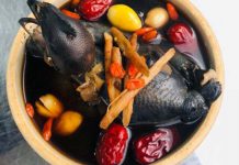 CÔNG THỨC NẤU GÀ TIỀM THUỐC BẮC ĐƠN GIẢN CÙNG MÁY LÀM SỮA HẠT DREAMER